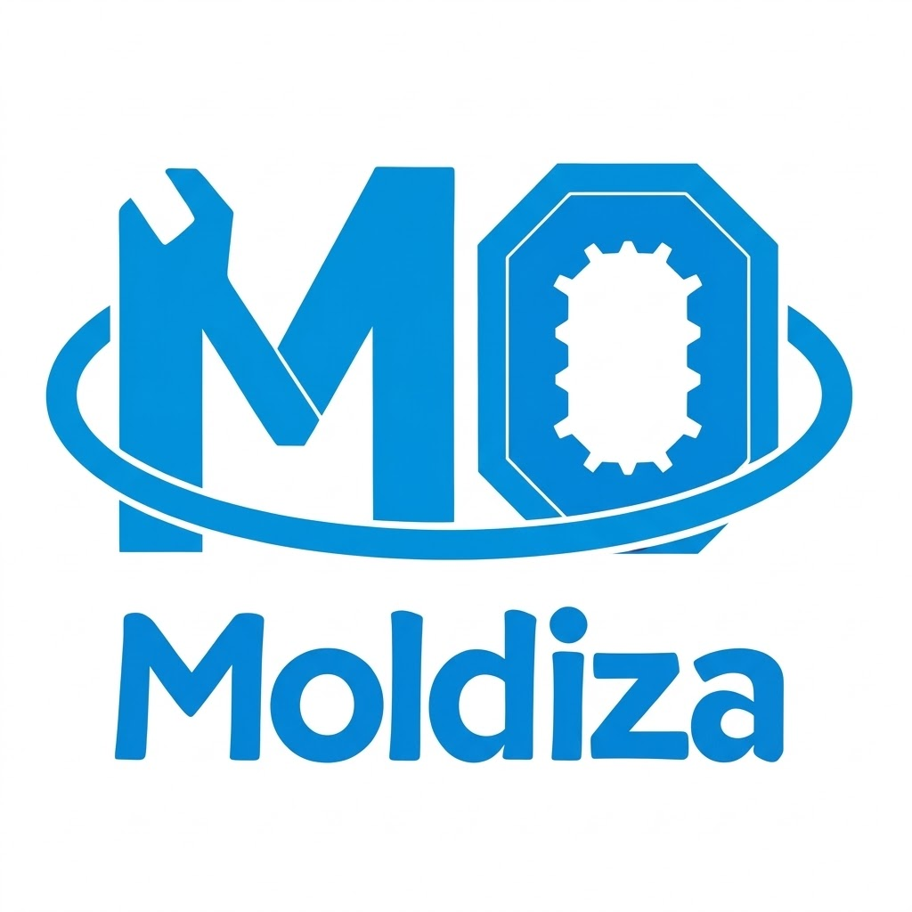 Moldiza - One-stop partner for Custom Molding, Injection and Assembly